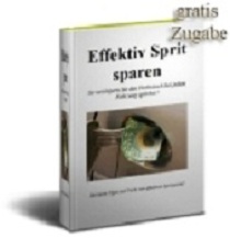 effectiv-sprit-sparen